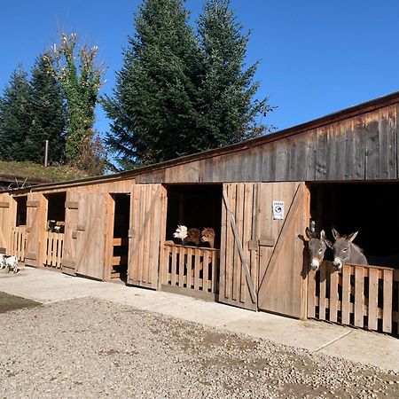Pokoje Goscinne Jurgowianka Jurgów Exterior foto